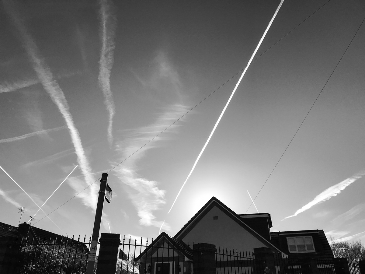 homeward-bound-poetrypix
